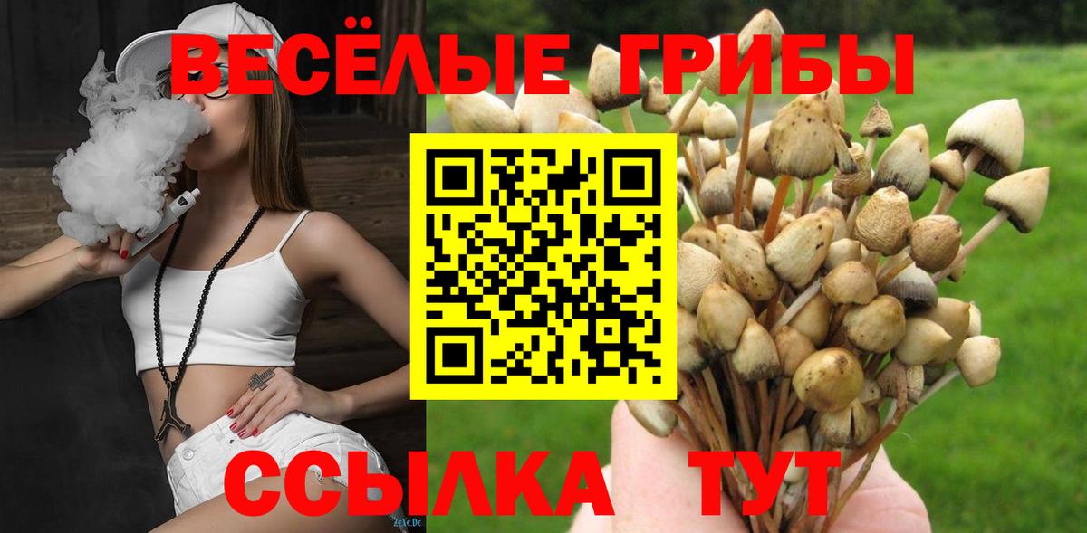 Галлюциногенные грибы мицелий Егорьевск